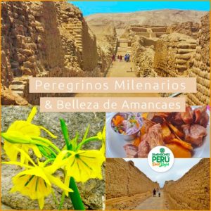 Región Lima - Valle de Lurín - Full Day en Privado /// Descubre la Milenaria Ruta de Peregrinos & Belleza de Amancaes