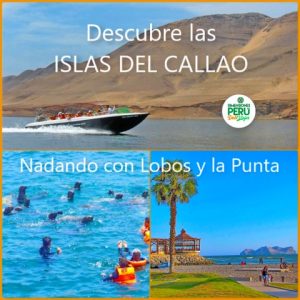 Rutas en Lima y Alrededores:  ISLAS DEL CALLAO y NADANDO CON LOBOS (4 a 5 HORAS)