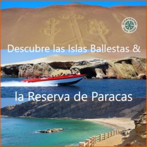 Región Ica - Full Day en Privado /// Maravillas de las ISLAS BALLESTAS & Playas de la RESERVA de PARACAS