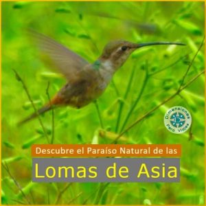 Región Lima - Valle de Asia - Full Day en Privado /// Descubre un Nuevo Paraíso Del Sur, Maravillas de las Lomas de ASIA