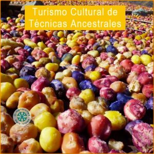 Turismo Especializado de Técnicas Ancestrales