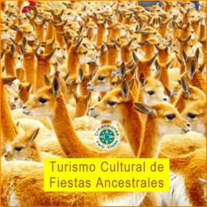 Turismo Natural y de Cultural - Fiesta del Chaccu de Vicuñas